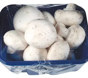 نایلون قارچ